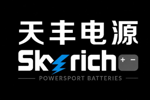 Skyrich Battery Türkiye